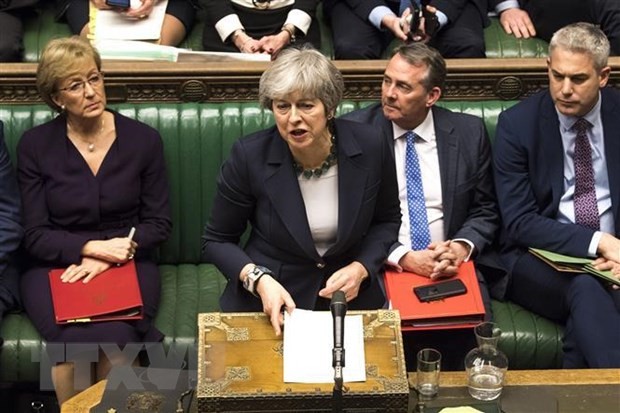 Brexit: Theresa May s'efforce de convaincre les députés de voter son accord - ảnh 1