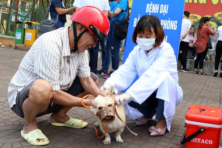 Le Vietnam éradiquera la rage en 2030 - ảnh 1