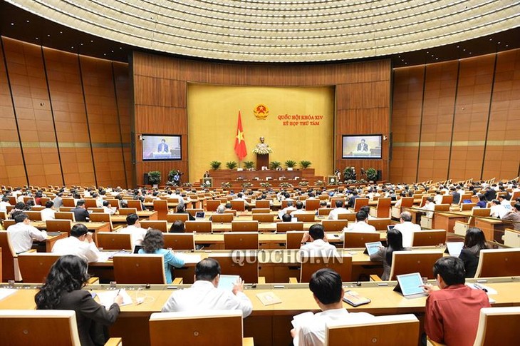 Assemblée nationale: La délivrance du visa électronique au débat - ảnh 1