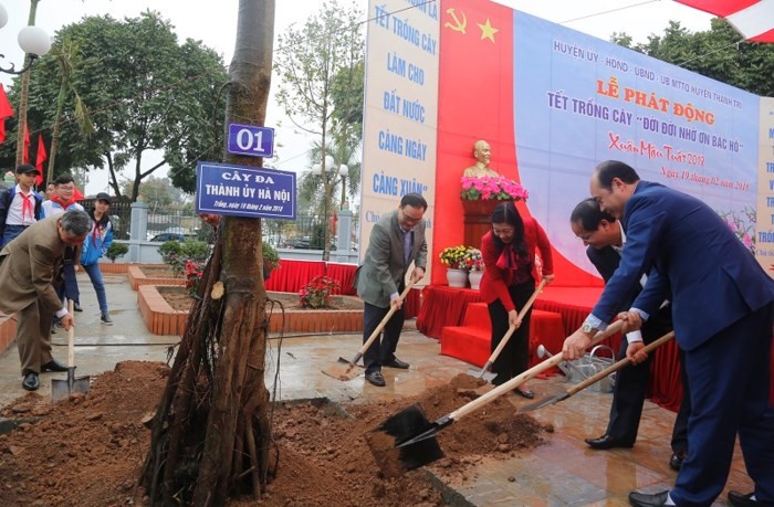 Lancement de la fête de plantation d’arbres dans différentes localités - ảnh 1