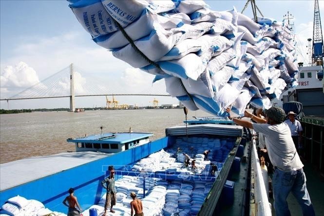 EVFTA: Promouvoir la croissance du Vietnam à long terme - ảnh 1