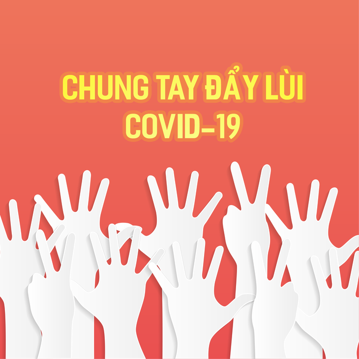 Covid-19: Un combat collectif - ảnh 1