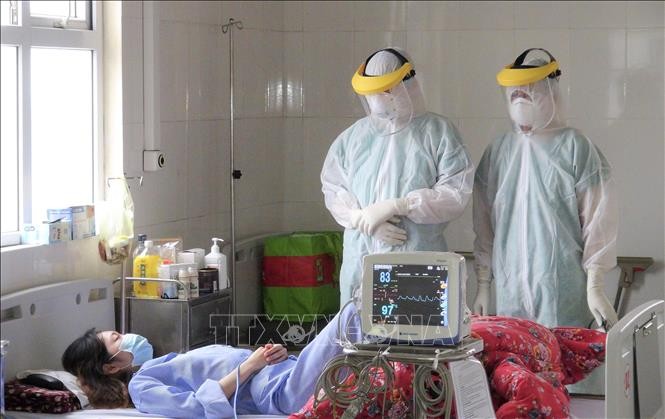 Covid-19: Temasek offre 10 respirateurs artificiels au Vietnam - ảnh 1