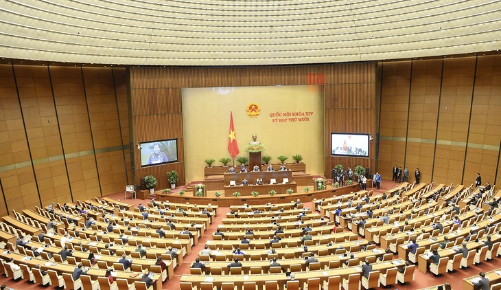 Assemblée nationale: deux projets de loi en débat - ảnh 1