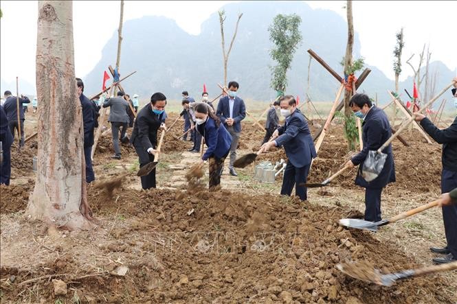 La fête de plantation d’arbres lancée dans certaines localités - ảnh 1