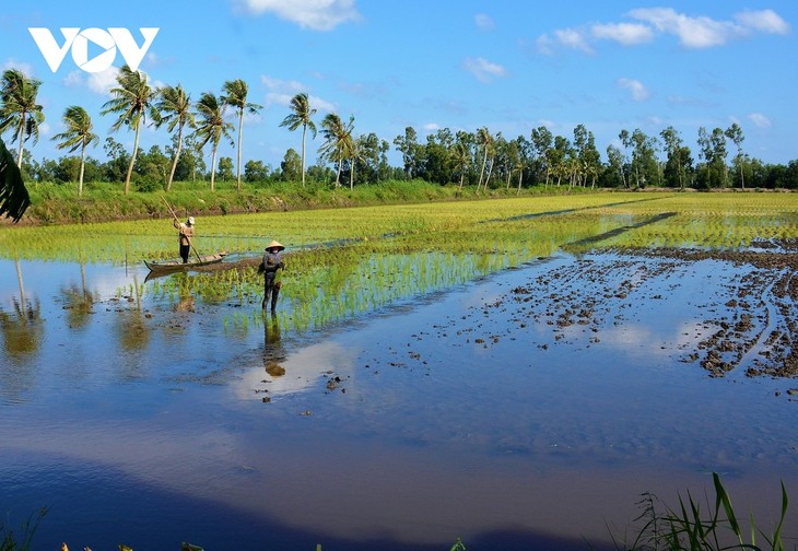 Le Delta du Mékong opte pour un développement adapté au changement climatique - ảnh 1