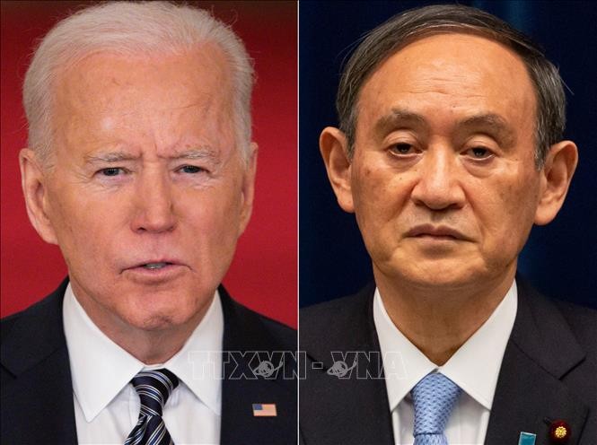 Joe Biden et Suga Yoshihide montrent leur unité - ảnh 1