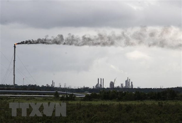 L’ONU refuse de reporter la COP26 malgré la pression des ONG  - ảnh 1