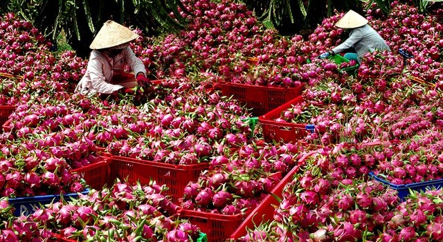 Les échanges commerciaux Vietnam-Chine affichent 165,8 milliards de dollars en 2021 - ảnh 1