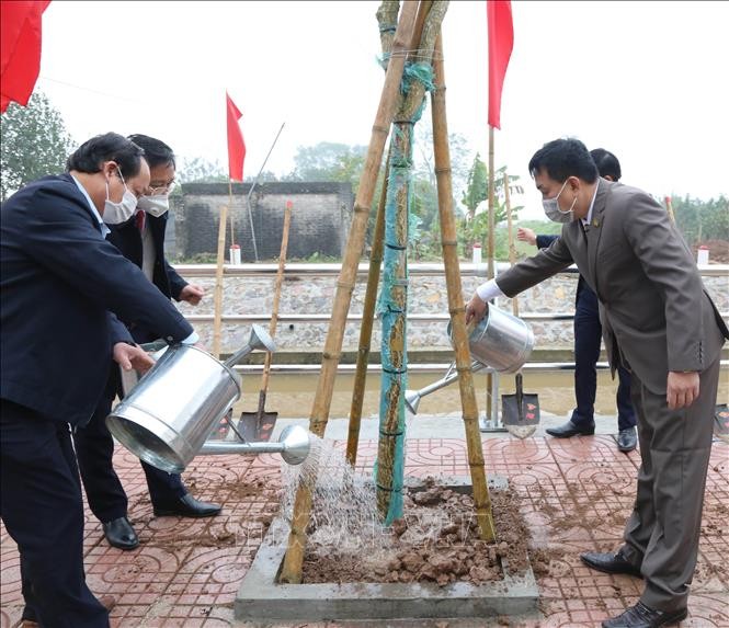 Ninh Binh vise à planter 1,2 million d’arbres et 140 hectares de forêts en 2022 - ảnh 1