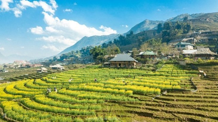 L’agrotourisme a le vent en poupe à Sapa - ảnh 2