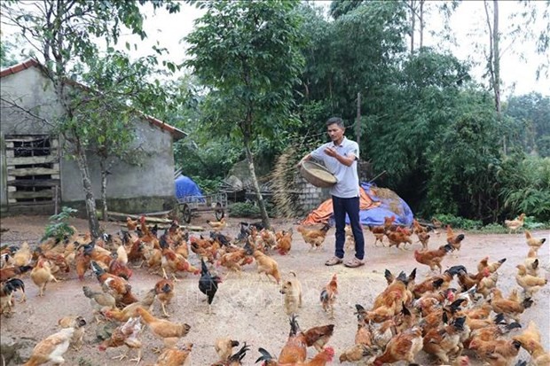 Journée des handicapés du Vietnam: aider les victimes des bombes et des mines à intégrer à la société - ảnh 1