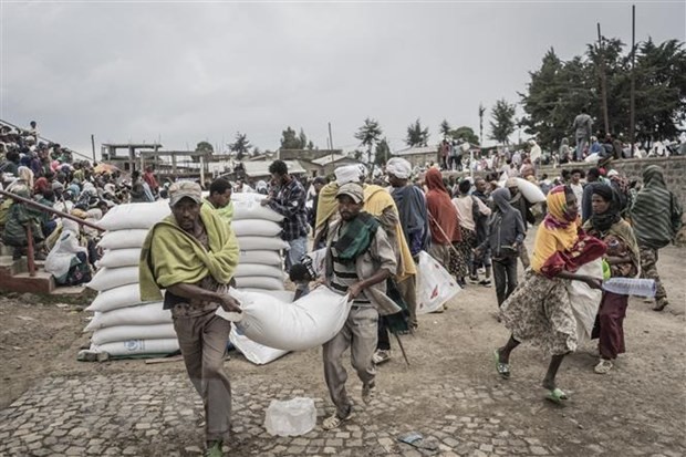 Sécurité alimentaire: l’UE renforce son soutien aux pays d’Afrique, des Caraïbes et du Pacifique - ảnh 1