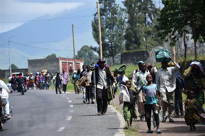 HCR: Plus de 100 millions de personnes déplacées de force dans le monde en 2022 - ảnh 1