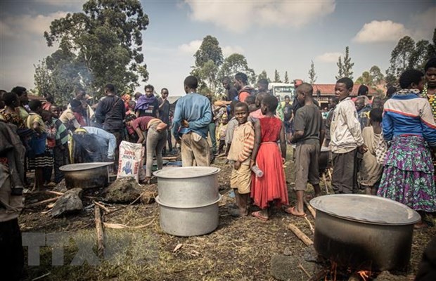 L'UE met en place un pont aérien humanitaire vers la RDC - ảnh 1