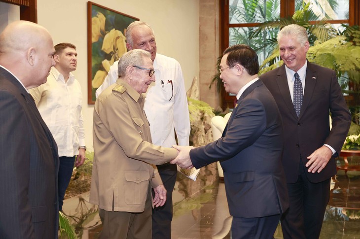 Vuong Dinh Huê reçu par Raul Castro Ruz et Miguel Diaz-Canel - ảnh 1