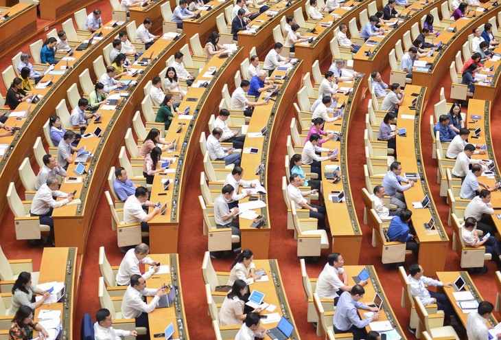 L’Assemblée nationale approuve la loi sur les prix (modifiée) - ảnh 1