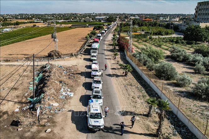 Réunion de l'Assemblée générale sur Gaza : Dennis Francis appelle à un arrêt immédiat de la violence - ảnh 1