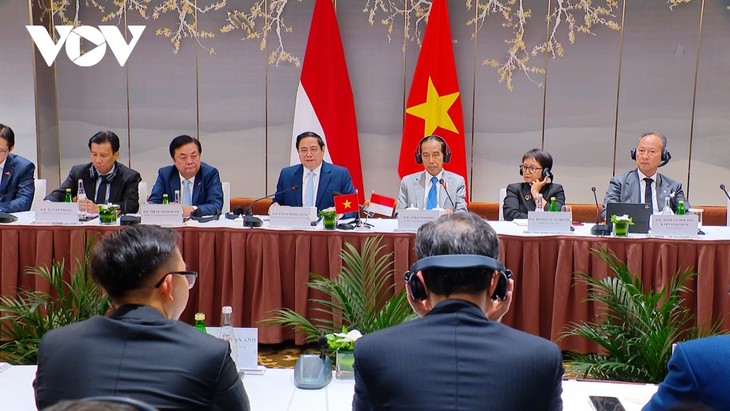 Pham Minh Chinh et Joko Widodo co-président le Dialogue des chefs d’entreprises Vietnam-Indonésie - ảnh 1