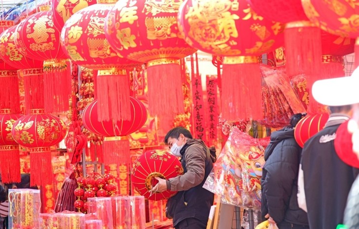 Célébrations du nouvel an lunaire dans plusieurs pays asiatiques - ảnh 1