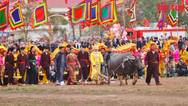 Fête de descente aux champs de Doi Son 2024 - ảnh 1