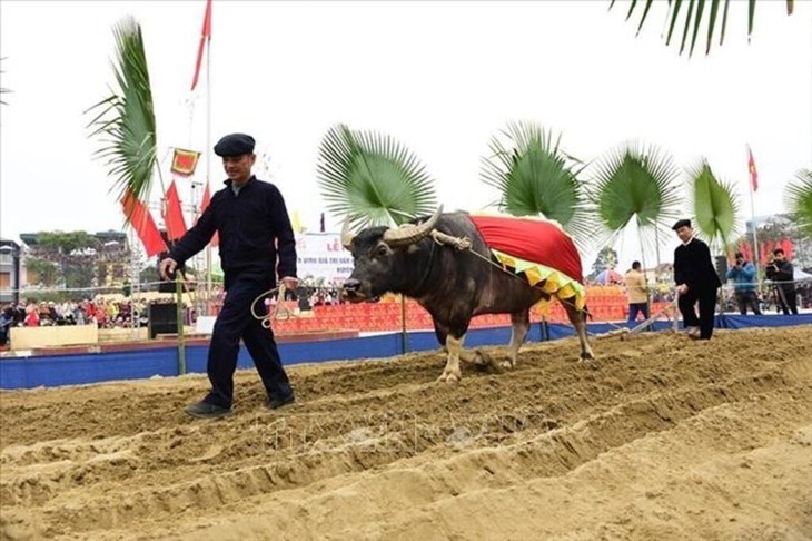 La Lông tông, une fête originale des Tày de Hà Giang - ảnh 2