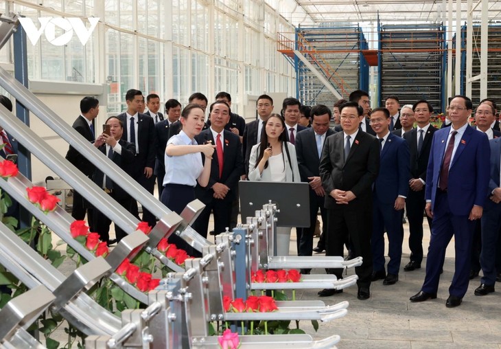 Vuong Dinh Huê visite quelques modèles économiques typiques de la province du Yunnan - ảnh 1