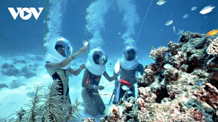 Les îles Cham célèbre les 15 ans de leur reconnaissance par l’UNESCO - ảnh 2