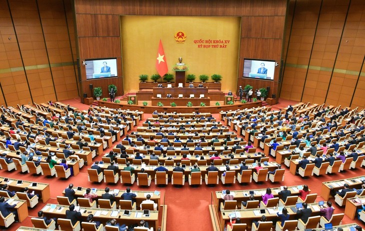 La 8e session extraordinaire à l'Assemblée nationale - ảnh 1