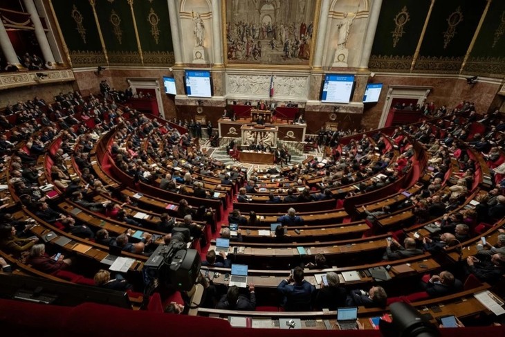 France: le nouveau gouvernement Bayrou survit à la motion de censure - ảnh 1