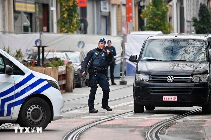 Belgique: un adolescent de 14 ans arrêté en raison d’un projet d’attentat contre une mosquée - ảnh 1