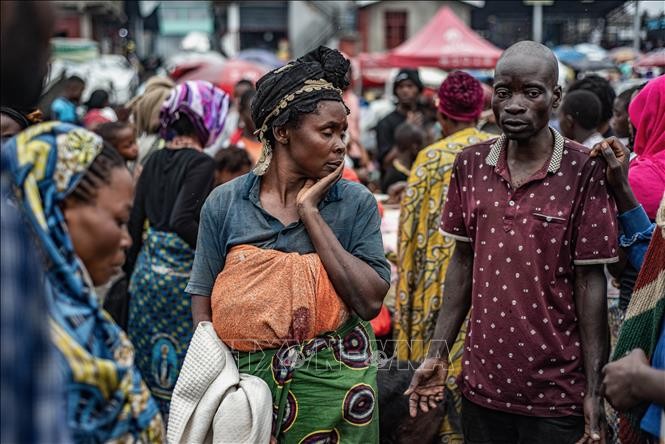 Conseil de sécurité: deuxième réunion d’urgence en 48 heures sur la situation en République démocratique du Congo - ảnh 1