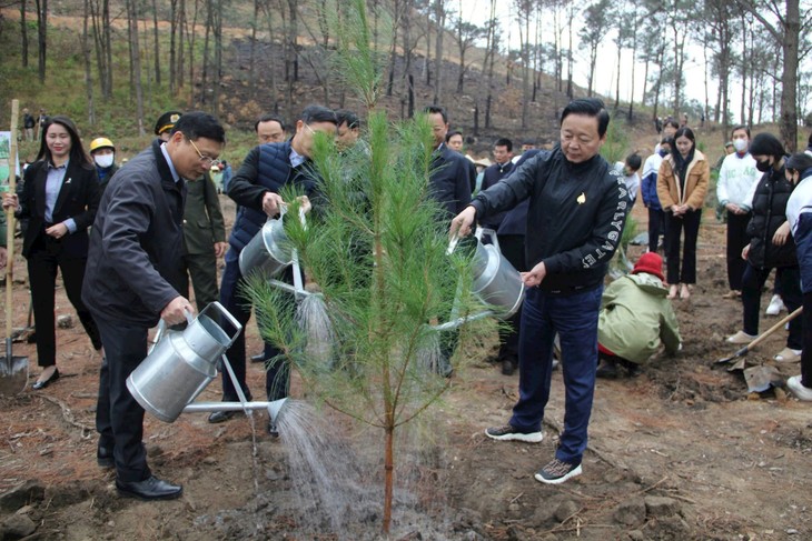 Lancement de la campagne de plantation d’arbres à Uông Bi - ảnh 1