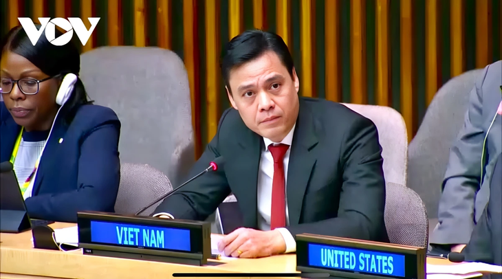 Le Vietnam renforce son engagement pour l’égalité des sexes à l’ONU - ảnh 1