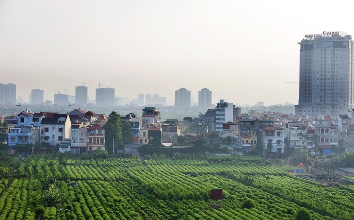 Vietnam-France: ensemble pour une agriculture durable et responsable - ảnh 3