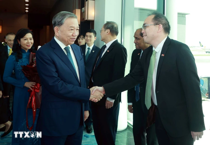 Début de la visite officielle de Tô Lâm à Singapour - ảnh 1