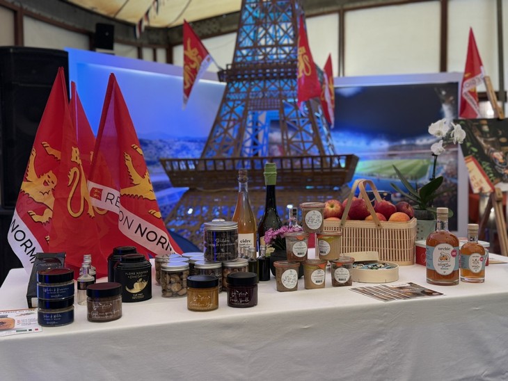 Vietnam - Normandie: une dynamique de partenariat en marche - ảnh 4