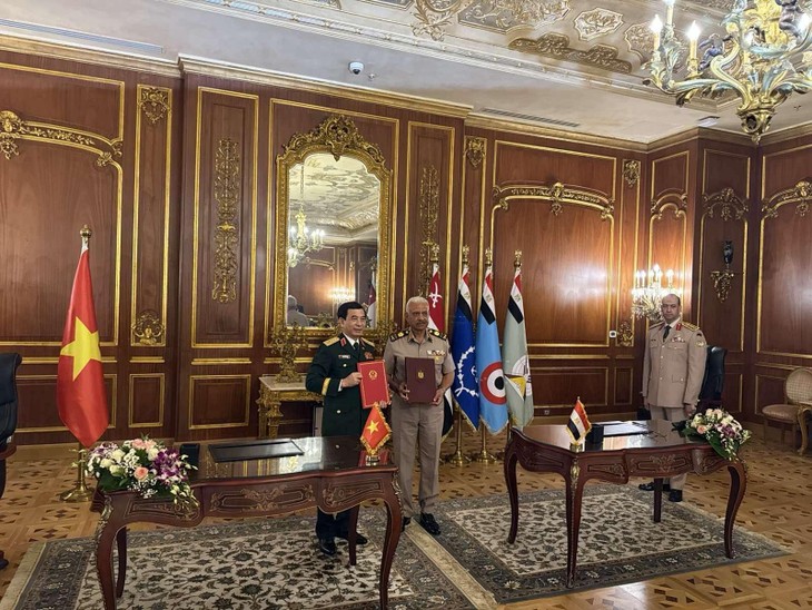 Vietnam-Égypte: renforcement de la coopération militaire - ảnh 1