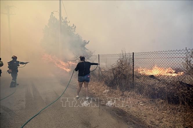 L’Europe s’entraide face aux incendies de forêt - ảnh 1