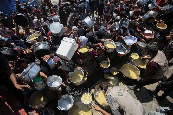L'ONU déclare officiellement l'état de famine à Gaza - ảnh 1