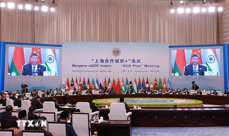 Les dirigeants des États membres de l’OCS publient la Déclaration de Tianjin - ảnh 1