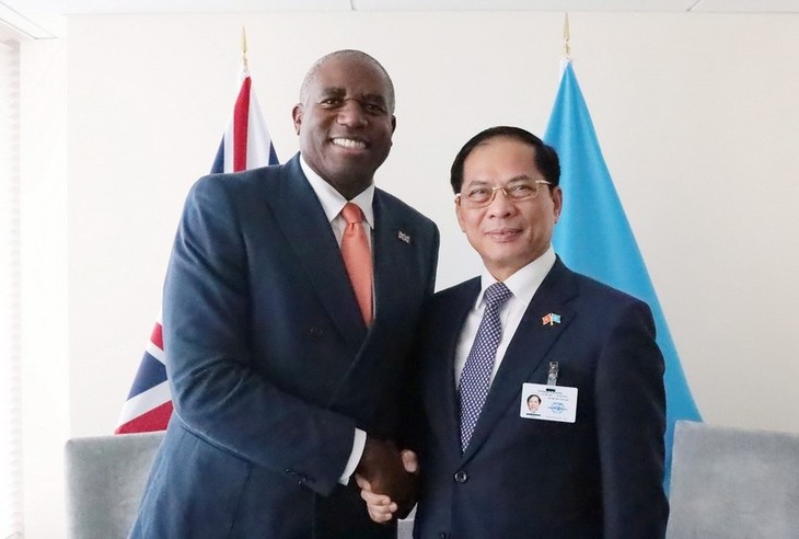 À l’ONU, le Vietnam renforce ses partenariats avec Londres et Varsovie - ảnh 1