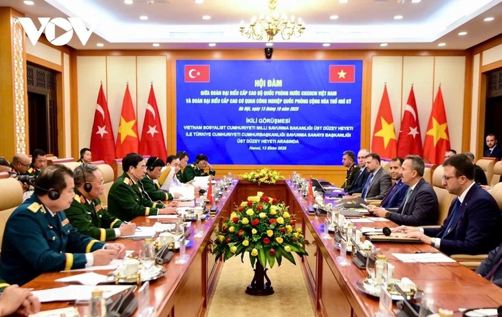 Le Vietnam renforce ses partenariats en matière de défense avec la Turquie - ảnh 2