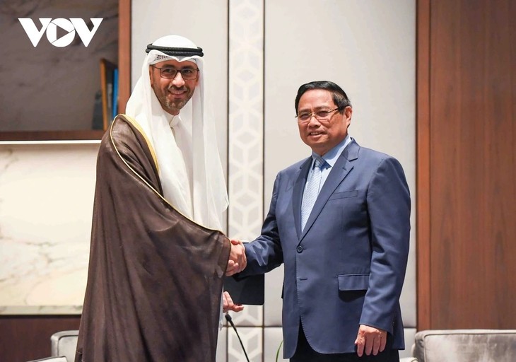 Vietnam – Koweït: coordination pour concrétiser le Partenariat stratégique - ảnh 3