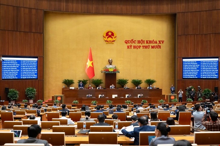 L’Assemblée nationale fusionne trois programmes pour le développement rural - ảnh 1