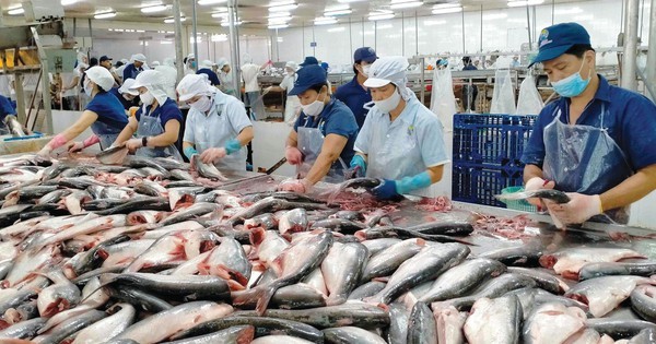 Le secteur de la pêche vise 11 milliards de dollars d’exportations - ảnh 1