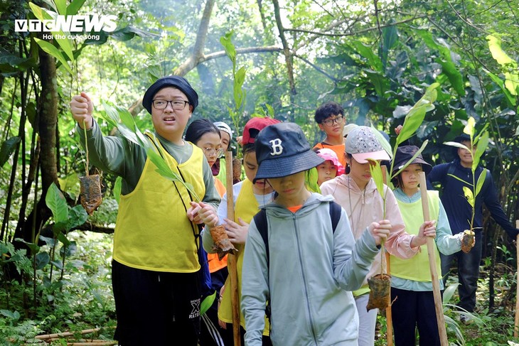 'Bỏ phố về rừng', trẻ được học cách sinh tồn, trồng cây bảo vệ rừng thế nào? - ảnh 11