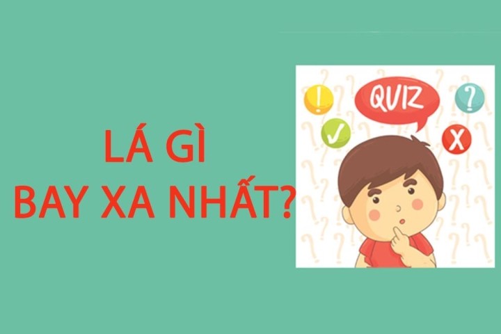 Đố vui: Lá gì bay xa nhất? - ảnh 1