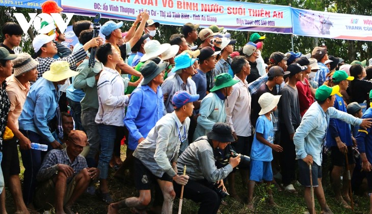 Những hình ảnh ấn tượng trong hội đua bò Bảy Núi An Giang - ảnh 6