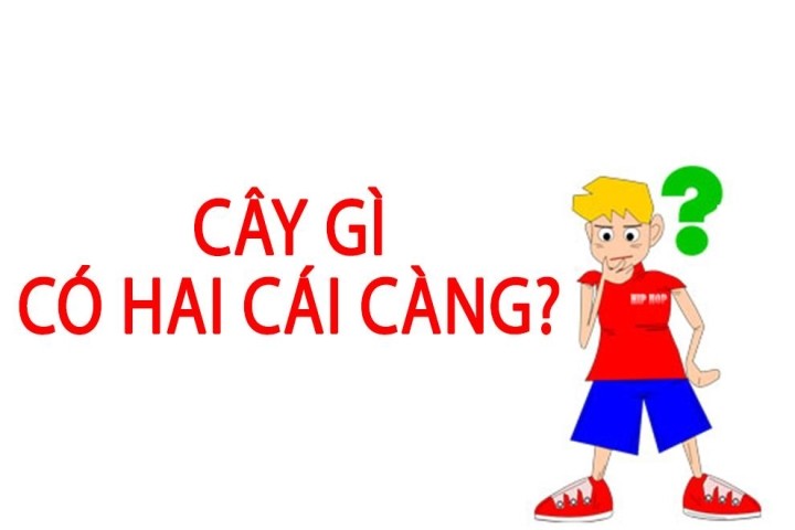 Đố vui: Cây gì có hai cái càng? - ảnh 1